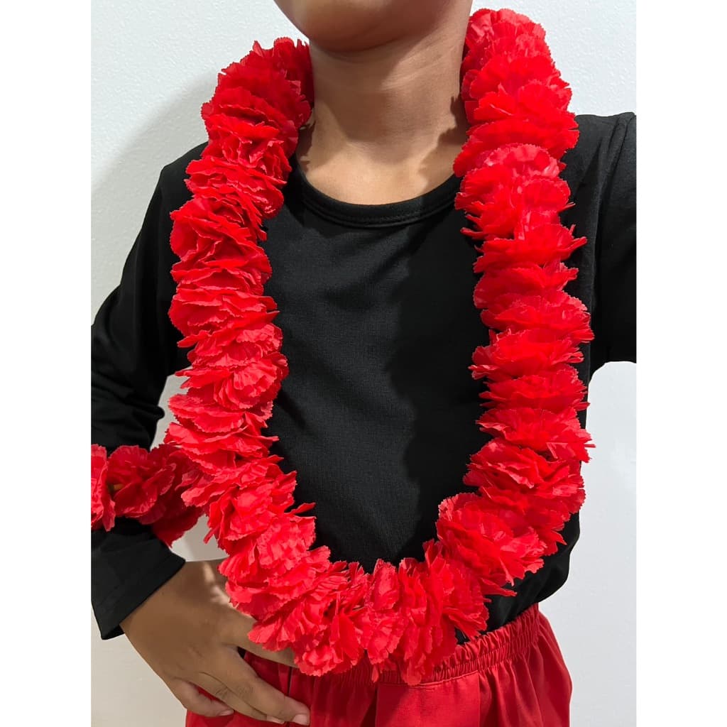 ชุดเงาะป่า เจ้าเงาะ ขายแยกชิ้นจร้า เลือกได้ ชุดเจ้าเงาะ วิกแอฟโฟร่ วิกเจ้าเงาะ เงาะป่า สังข์ทอง รูปที่ 4