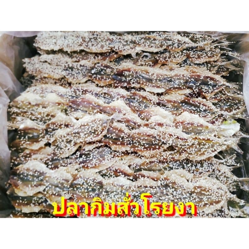 สด ปลาทูแดง 1kg ปลาทูหวานแดง ปลาหวานแดง ปลาทูหวานขาว ปลาหวานงา ปลาเส้นงา ริวกิว ปลาข้างเหลืองงา ปลาหมึก ปลาวง ปลาไล้กอ รูปที่ 4