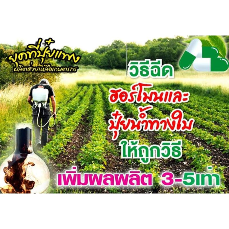 ใบเขียวยอดขายอันดับ1สารอินทรีย์สกัดชนิดเข้มข้นสูตรพิเศษฟื้นต้นสร้างดอกสารอาหารทางด่วน :เร่งพืชตราใบเขียว 1ลิตรยอ รูปที่ 8