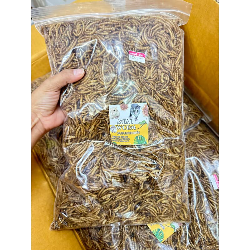 หนอนนกอบแห้ง 500 g. // 189 บาท สำหรับสัตว์ ถุงใหญ่ รูปที่ 1