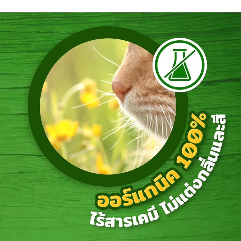 Cat’s Best Original ทรายแมวแคทเบส ขนาด 5 ลิตร,10 ลิตร รูปที่ 3