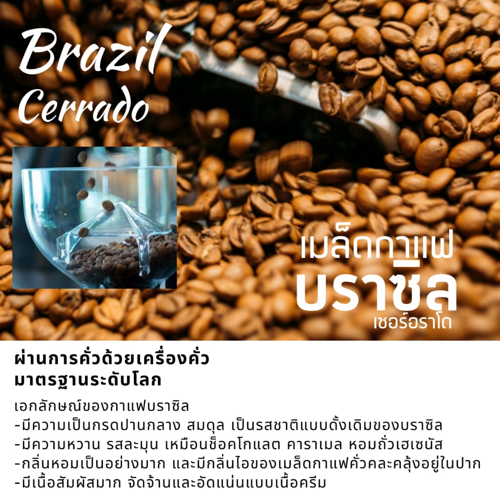 กาแฟดริปบราซิล แบบซอง 10g/ถุงดริป พร้อมดื่ม Brazil Cerrado Drip coffee กาแฟอราบิก้า100% กาแฟสดคั่วบด 5 ระดับการคั่ว รูปที่ 8