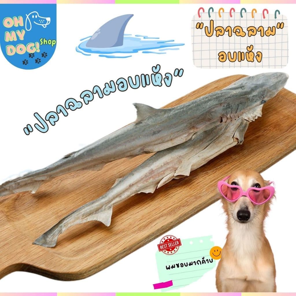 ขนมสุนัข ขนมแมว ปลาฉลามขัดฟันมาเลยเต็มตัว ปลาแท้ ฉลามอบแห้ง ขนมขัดฟันสัตว์เลี้ยง รูปที่ 1