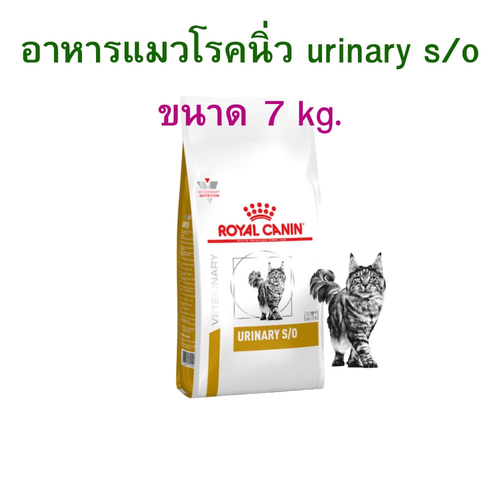 royal canin อาหารแมวโรคนิ่ว urinary s/o 7 กิโลกรัม รูปที่ 1