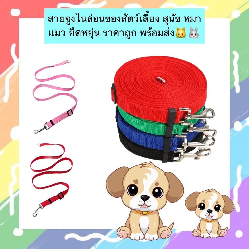 PP-845 สายจูงไนล่อนสำหรับสัตว์เลี้ยง ไม่ปรับความยาวได้ เหมาะกับสุนัข แมว และสัตว์เลี้ยงขนาดเล็ก มีความยืดหยุ่นสูง รูปที่ 1