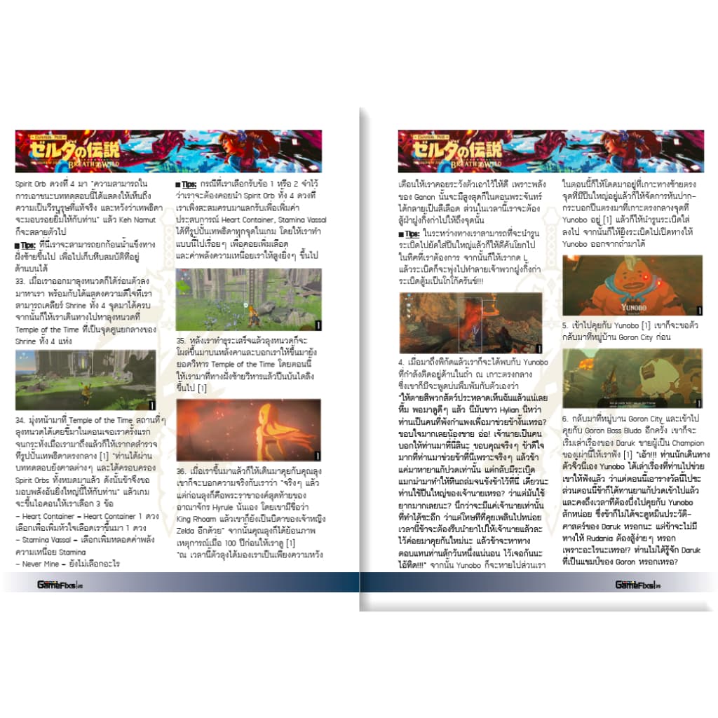 บทสรุปเกม The Legend of Zelda: Breath of the Wild - Expansion Pass รูปที่ 5