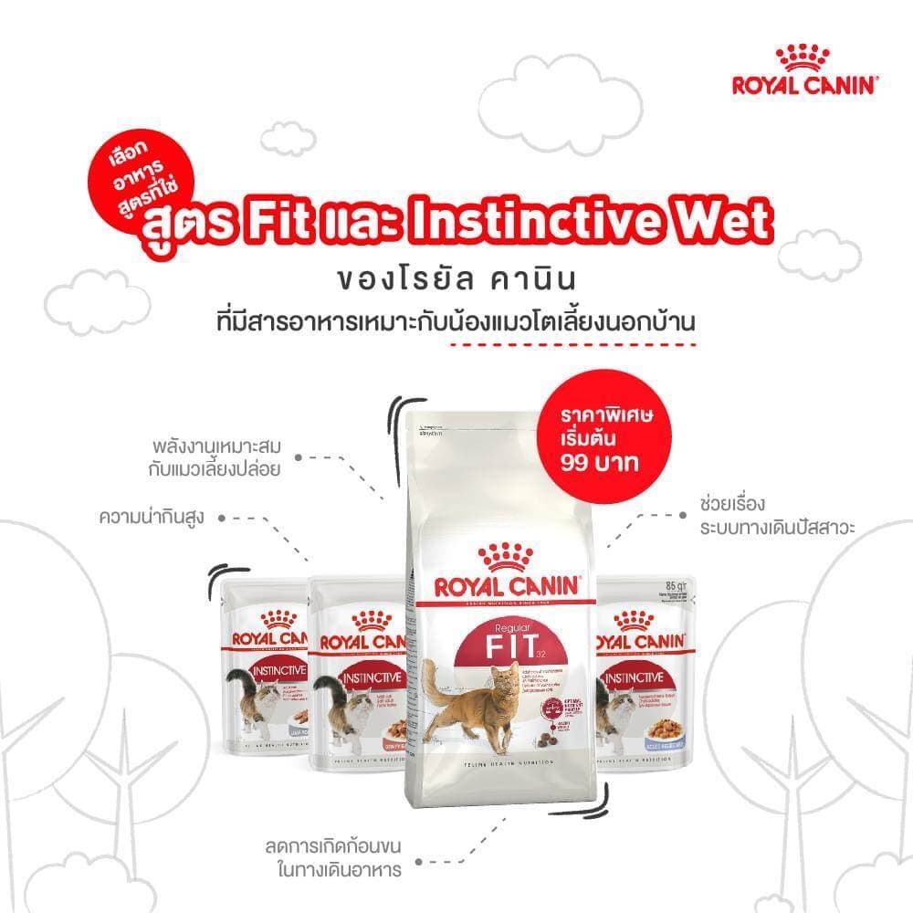 โปรแรง 6.6 เท่านั้น ! Royal Canin Fit โรยัล คานิน ฟิต สำหรับแมวโต เพื่อรูปร่างสมส่วน อายุ 1 ปีขึ้นไป ขนาด 4 kg. รูปที่ 7
