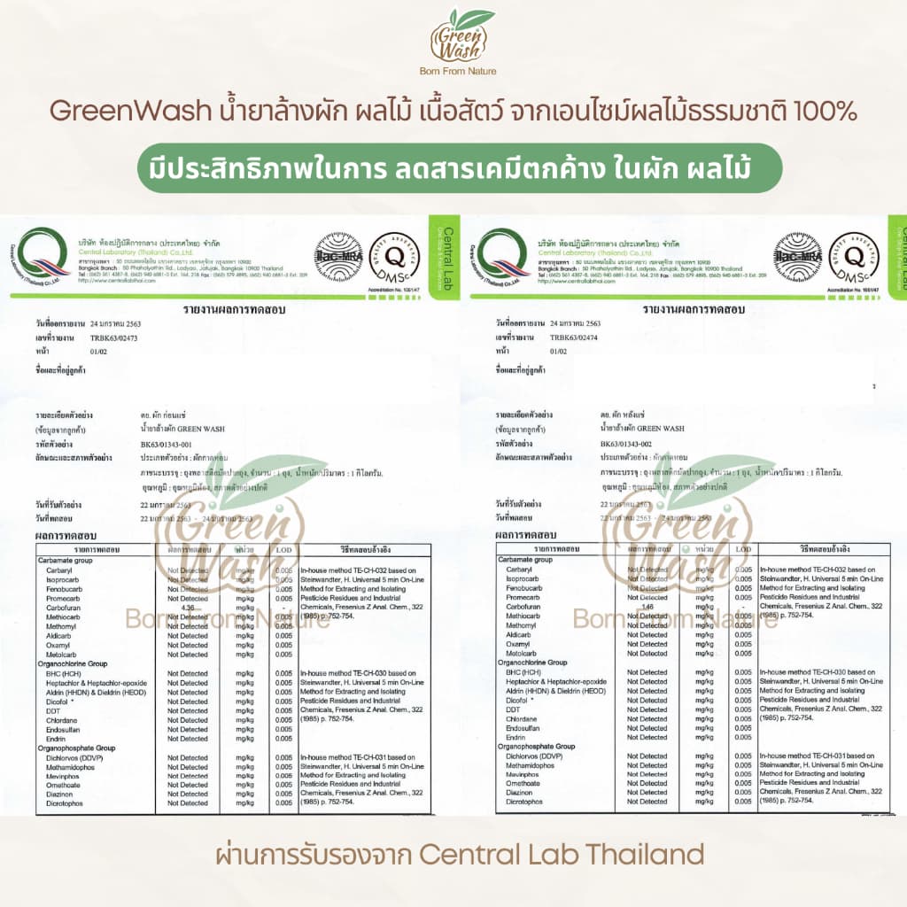 GreenWash Fruit and Vegetable Wash น้ำยาล้างผักผลไม้และเนื้อสัตว์จากเอนไซม์ผลไม้ ขนาดรีฟิลล์1ลิตร รูปที่ 7