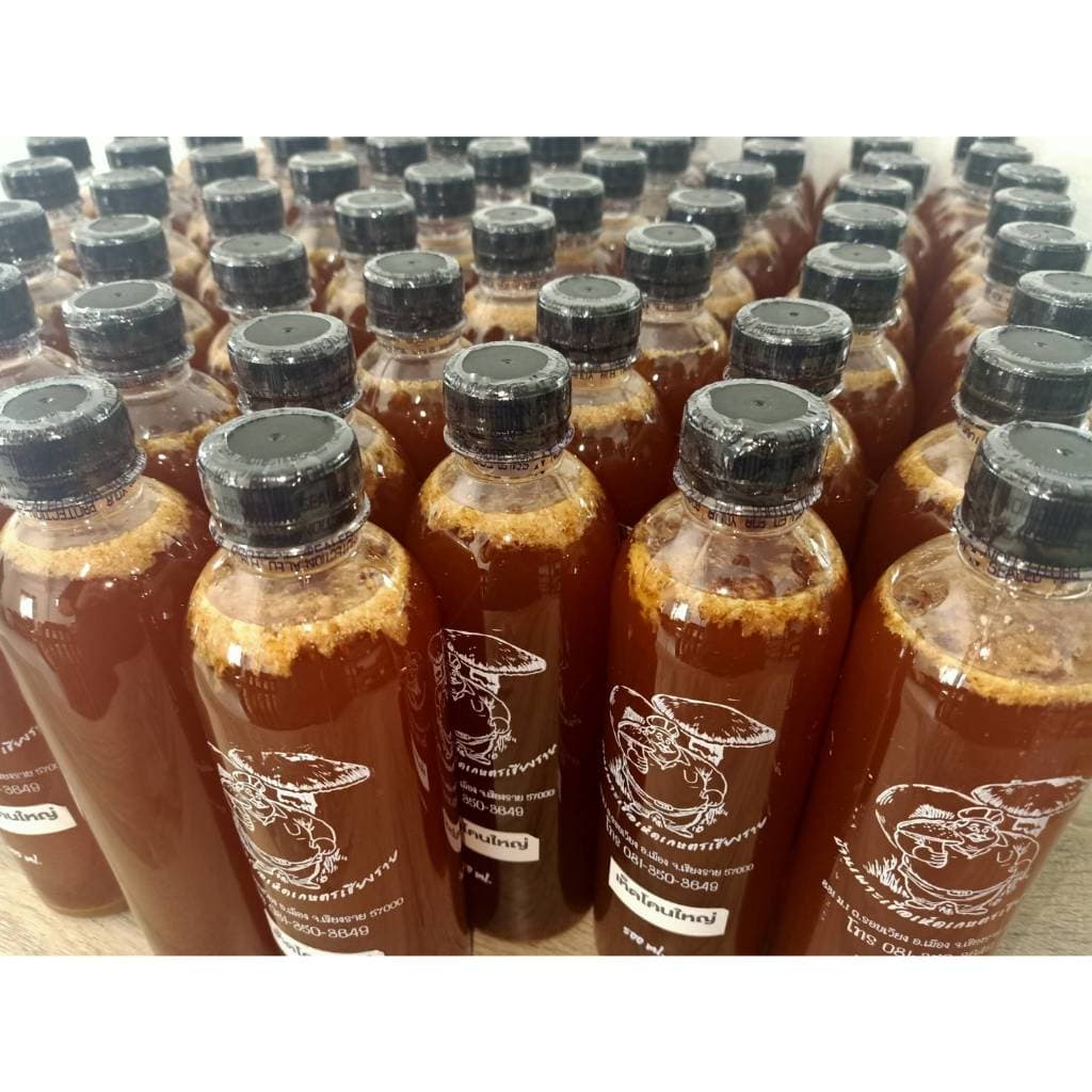 เชื้อเห็ดโคนปลวกดอกใหญ่ 1 ขวด ขนาด 500 ML. รูปที่ 3