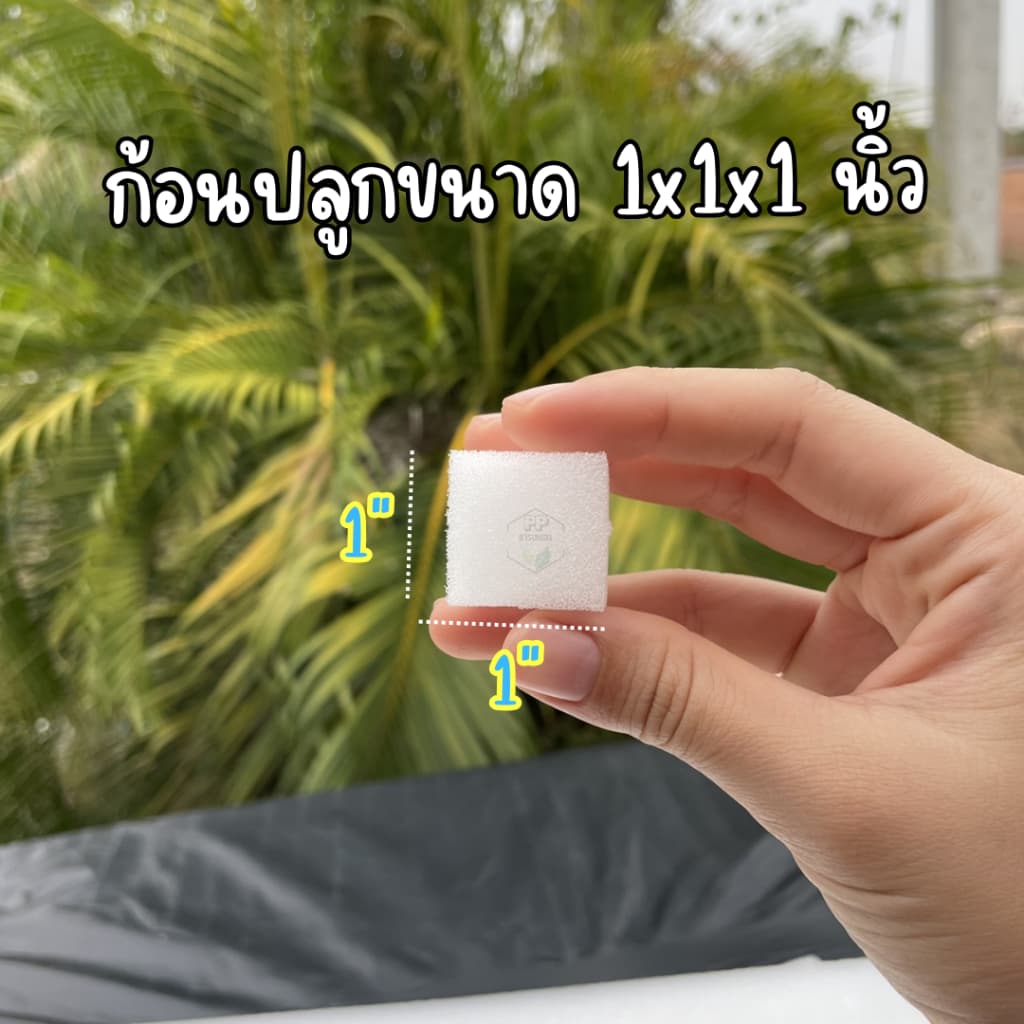 ฟองน้ำเพาะเมล็ด ฟองน้ำเพาะผักไฮโดรโปนิกส์ ผักสลัด ** 96 ช่องปลูก** เนื้อละเอียด แบบมีขอบ รูปที่ 4