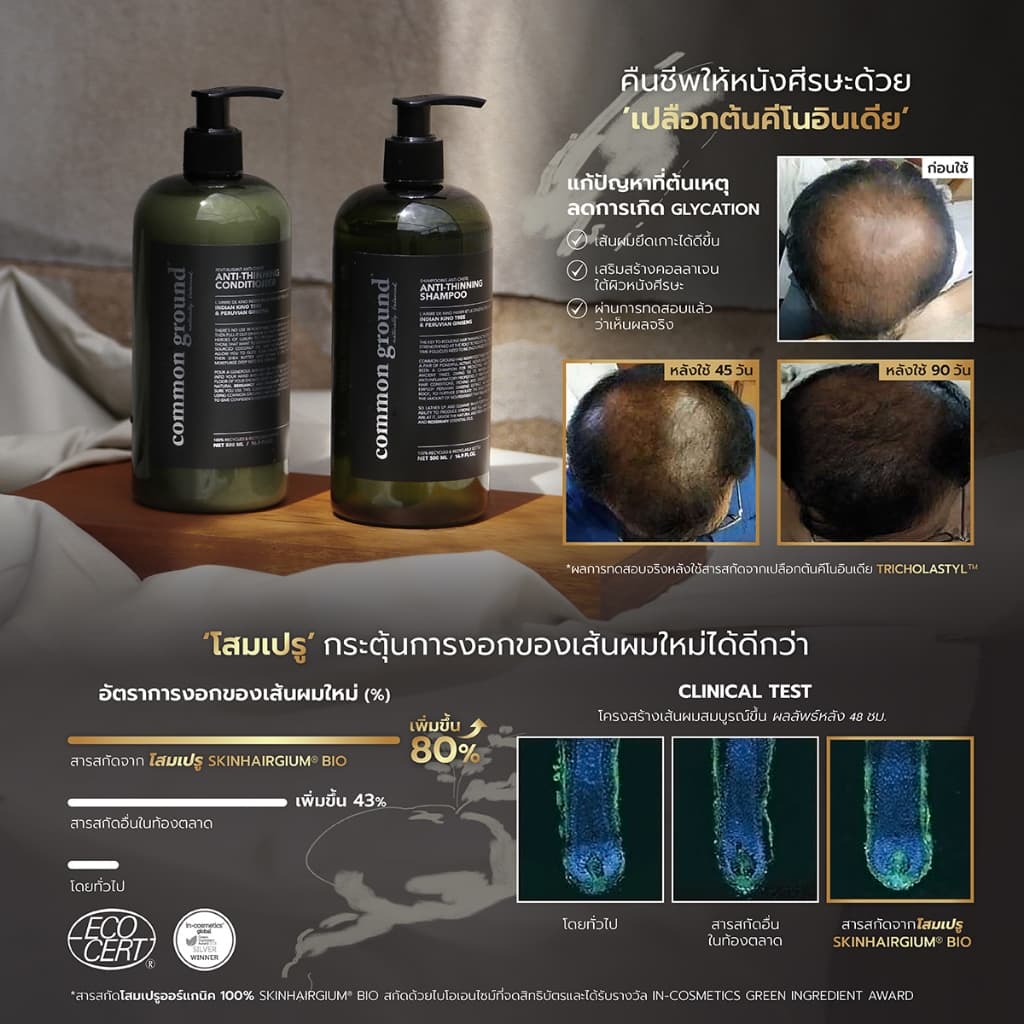 Common Ground Anti-Thinning Conditioner ครีมนวด สูตรลดผมร่วง คอนดิชันเนอร์ ผมนุ่ม ไม่มีน้ำหอม 500ml รูปที่ 4