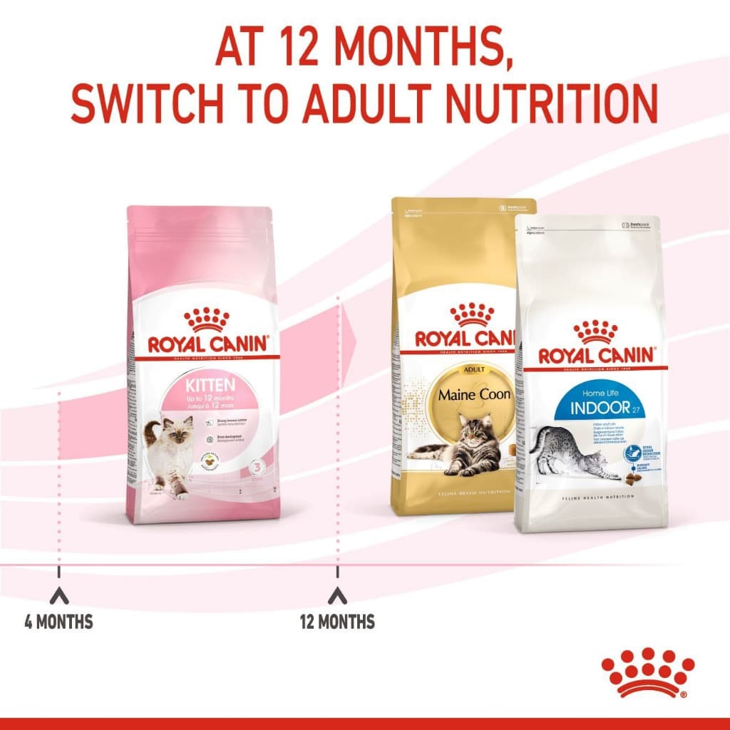 Royal Canin kitten 4kg สูตร ลูกแมว 4 kg สำหรับลูกแมว อายุ 4 - 12 เดือน รูปที่ 8