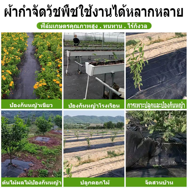 พลาสติกคลุมดิน ผ้าคลุมหญ้า พลาสติกคลุมวัชพืช กำจัดวัชพืช ผ้าคลุมวัชพืช พลาสติกเกรดส่งออก ผสมUV ฆ่าหญ้า เห็นผลไวถายใน รูปที่ 6