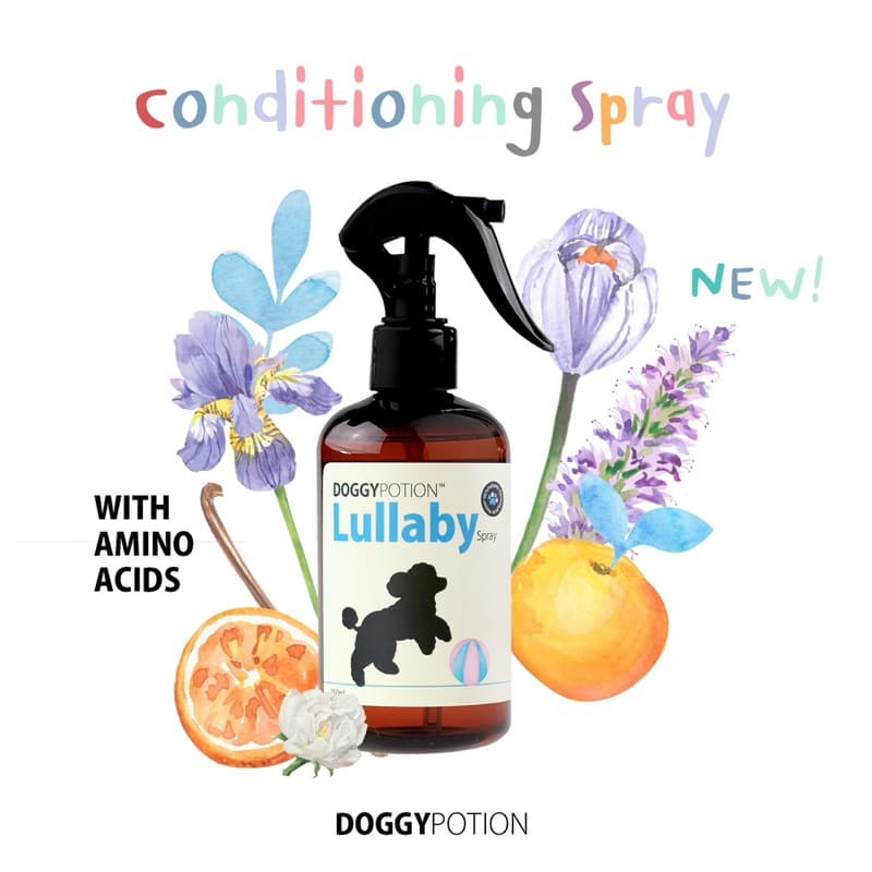 Doggy Potion Lullaby Conditioning Spray 250ml สเปรย์บำรุงขน สูตรลาลาบาย รูปที่ 3