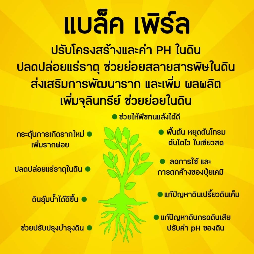 ฮิวมิค อะมิโน แบล็คเพิร์ล กระตุ้นราก กระตุ้นการแตกใบ สร้างรากหาอาหาร ปรับปรุงโครงสร้างดิน รูปที่ 4