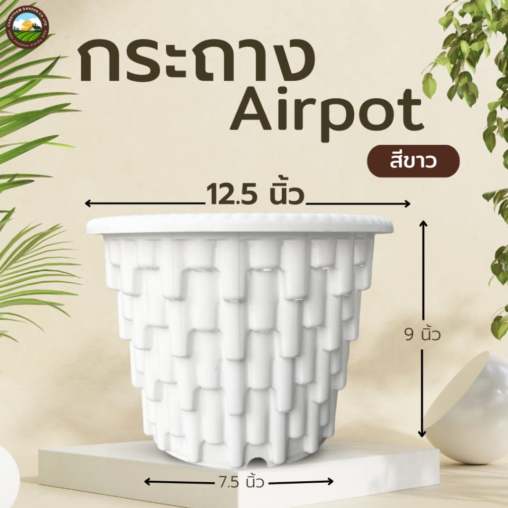 รุ่นใหม่ Airpot กระถางปลูกสายเขียว กระถางเร่งราก สีขาว ขนาด 12.5 นิ้ว รูปที่ 1