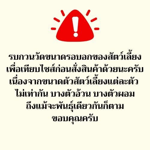 ​SETสายจูงสุนัข+สายรัดอก สำหรับน้องๆทุกสายพันธุ์ รูปที่ 9