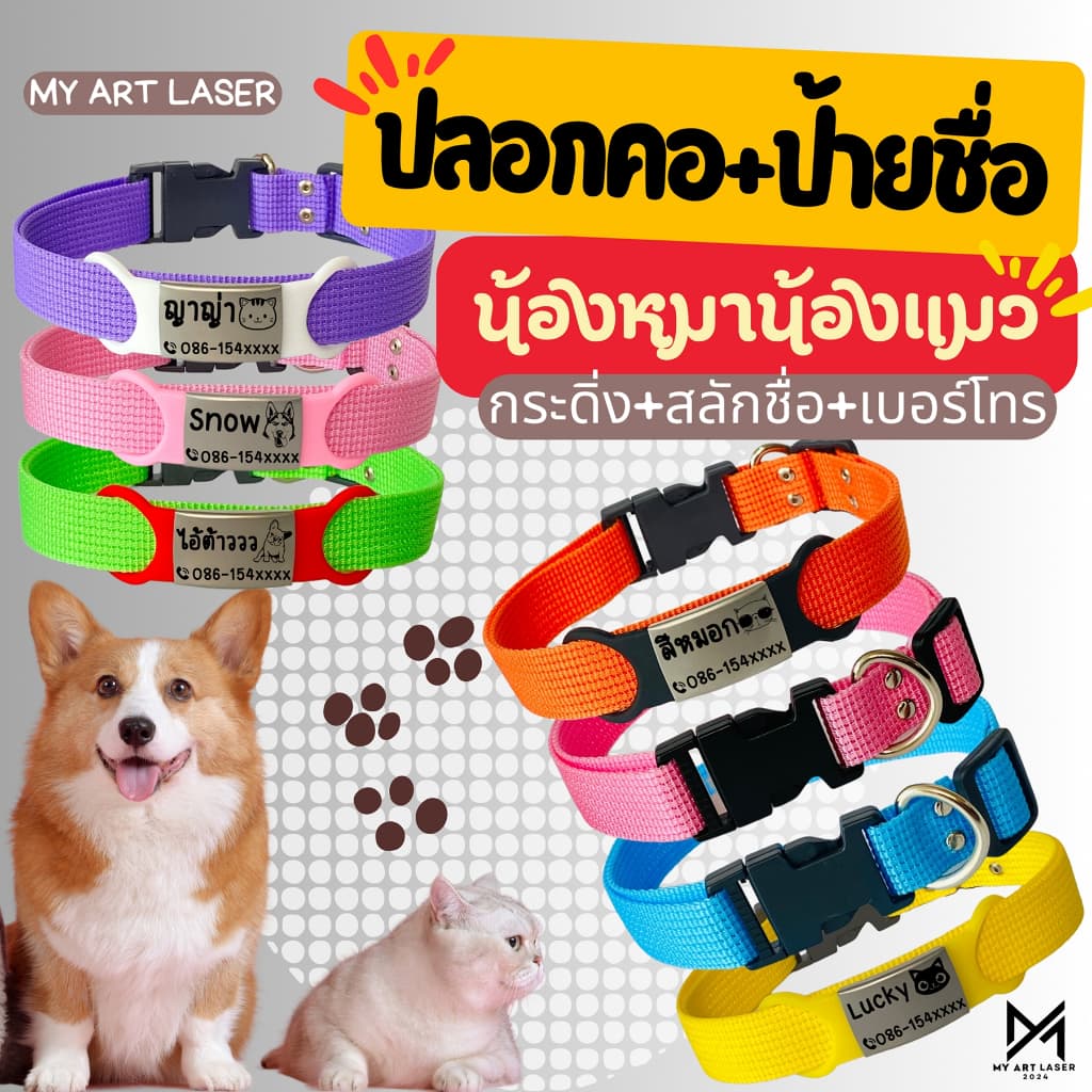 ป้ายชื่อสัตว์เลี้ยง+ปลอกคอ  ป้ายน้องหมาแมว กระดิ่งคละสี สแตนเลส (ยาง+ปลอกคอ)