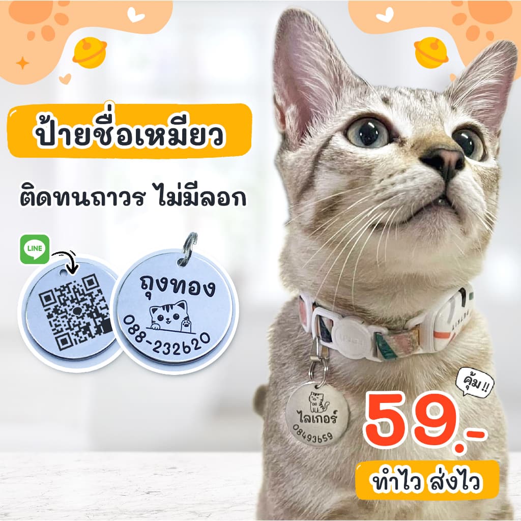 ป้ายชื่อแมว เก็บปลายทางได้ สลักชื่อฟรี ติดทนถาวร รับประกันไม่หลุดลอก ปลอกคอแมว ป้ายชื่อสัตว์เลี้ยง รูปที่ 1