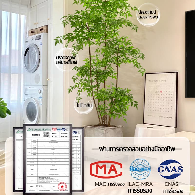 รุ่นไฮเอนด์ต้นไม้ปลอม ต้นไม้ปลอมใหญ่ สูง100/120ซม ความจำลอง 99% สไตล์นอร์ดิก ต้นไผ่ ต้นไผ่ปลอม รูปที่ 5