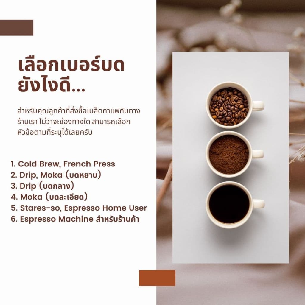 เมล็ดกาแฟคั่วอ่อน Fatman Special Blend: Series Candy รูปที่ 4