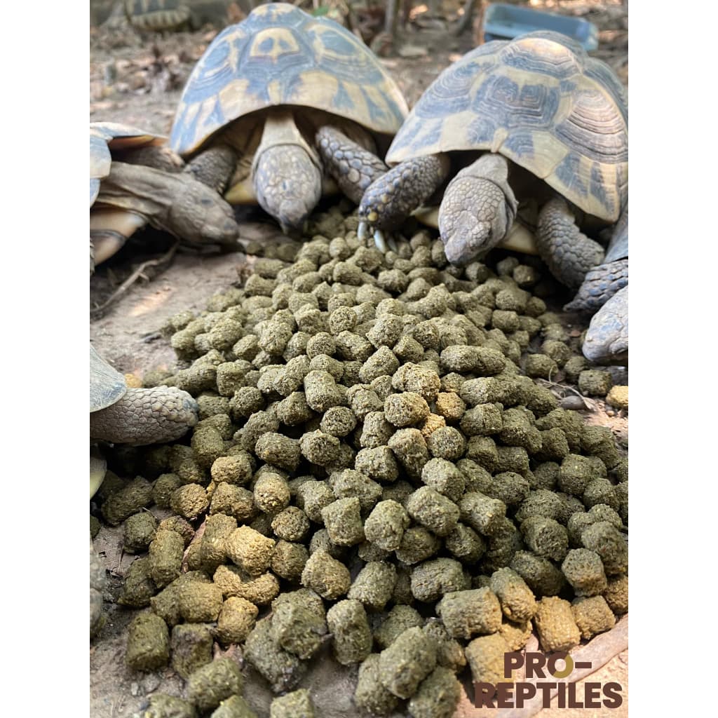 อาหารเต่า Pro-Reptiles เกรด Premium มี 3 สูตร ขนาด 1 กิโลกรัม และ 400กรัม รูปที่ 6