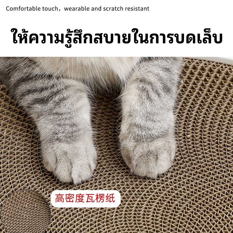 ที่ลับเล็บแมว ที่นอนแมว 2 in 1 ทรงกลม เปลี่ยนกระดาษลับเล็บได้ ที่ฝนเล็บแมว บ้านแมว ของเล่นแมว รูปที่ 4