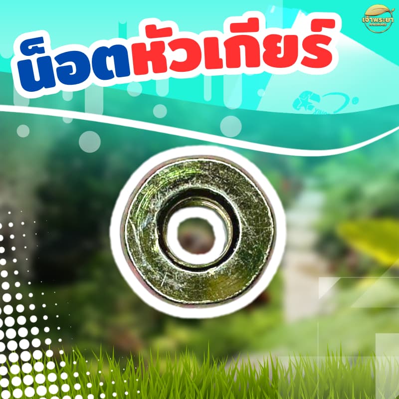 น๊อตหัวเกียร์เครื่องตัดหญ้า เกลียวซ้าย ขนาดมาตราฐาน ทนแรงกระแทกสูง รูปที่ 4