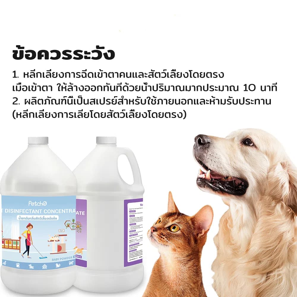 PetStern x Petcho น้ำยาฆ่าเชื้อสัตว์เลี้ยงแบบเข้มข้น น้ำยา ขจัดกลื่น สัตว์เลี้ยง 1000/3800ml รูปที่ 2