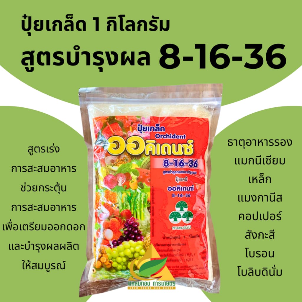 ปุ๋ยเกล็ด สำหรับพ่นทางใบ คุณภาพสูง YVP ครบทุกสูตร ใช้ได้กับพืชทุกชนิด มีบริการเก็บปลายทาง รูปที่ 6