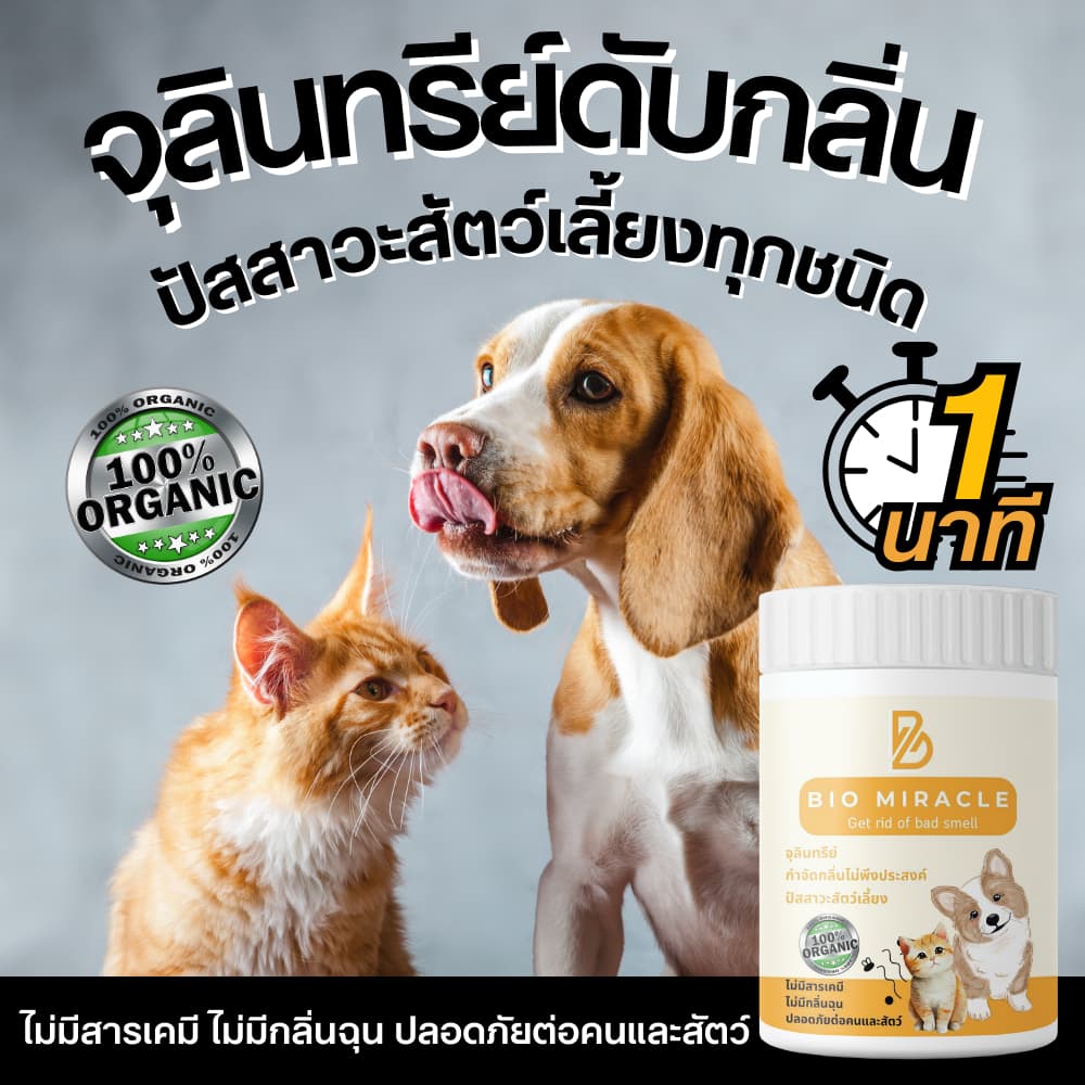BIO Miracle ไบโอมิราเคิล จุลินทรีย์ ดับกลิ่นฉี่สัตว์ ฉี่หมาแมว กลิ่นเหม็น เป็นสารออร์แกนิค ไม่เป็นอันตรายต่อสัตว์ รูปที่ 1