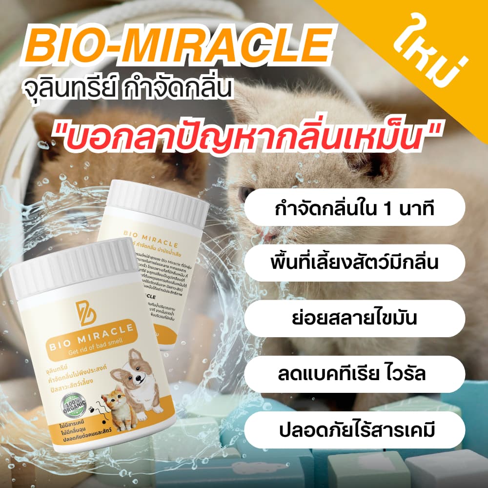 BIO Miracle ไบโอมิราเคิล จุลินทรีย์ ดับกลิ่นฉี่สัตว์ ฉี่หมาแมว กลิ่นเหม็น เป็นสารออร์แกนิค ไม่เป็นอันตรายต่อสัตว์ รูปที่ 5