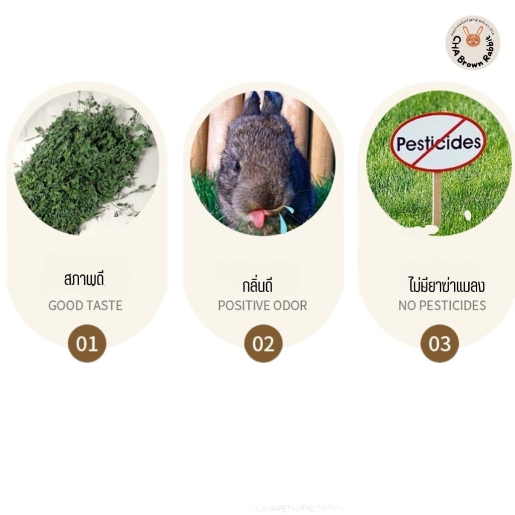 หญ้ากระต่าย หญ้าอัลฟาฟ่าอบลมร้อน Super Premium Alfalfa Grass ขนาด 1Kg. ใบล้วน รูปที่ 8