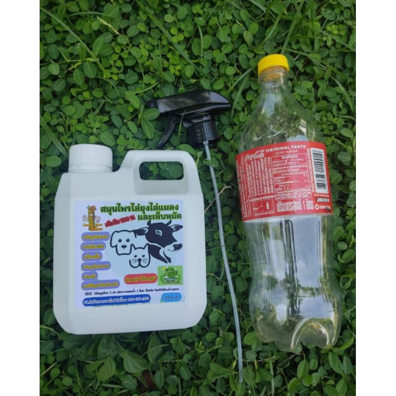 แกลลอน 1,200 ml.สมุนไพรไล่ยุงไล่แมลงและเห็บหมัด "ลัคกี้แมน" ไล่ยุง ไล่แมลง ไล่เห็บหมัด ดับกลิ่น รูปที่ 2