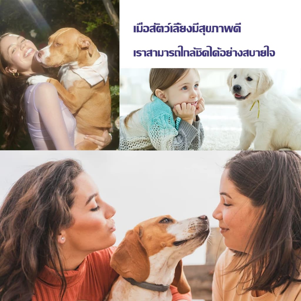 สเปรย์กำจัดเห็บ น้ำยากำจัดเห็บหมัด สเปรย์กำจัดเห็บหมัด ยาฆ่าเห็บหมัด สูตรพืช กำจัดเห็บหมัดสุนัข บรรจุ 120ml รูปที่ 3