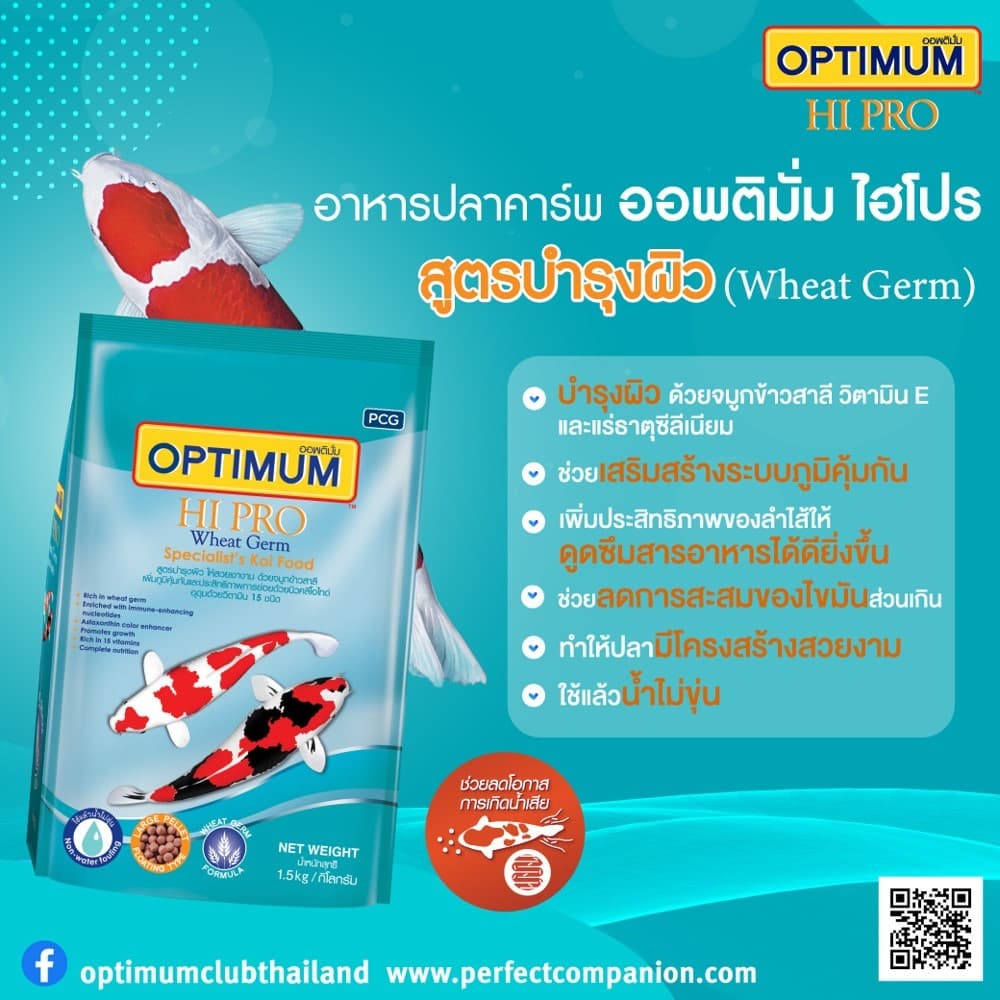 ออพติมั่ม ไฮโปร อาหารปลาคาร์พ Wheat Germ ขนาด 15 กก. รูปที่ 8