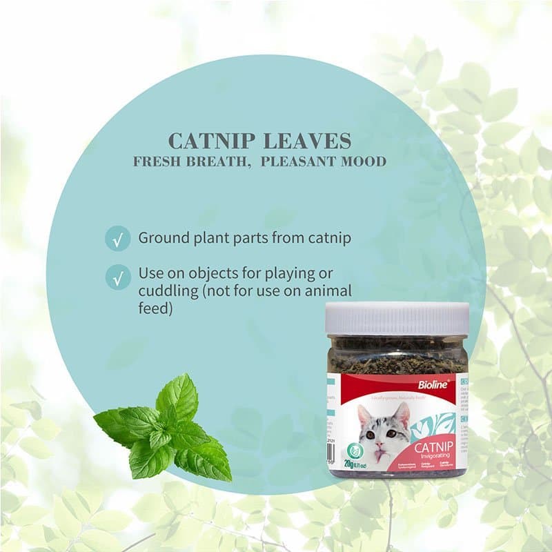 Bioline - Catnip รวมมิกซ์กัญชาแมว แคทนิปแมว รูปที่ 6
