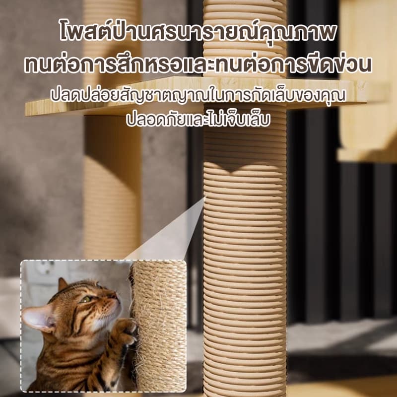 คอนโดแมว คอนโดแมวไม้ เสาลับเล็บแมวได้ สูง147cm ตัวหนา เพิ่มความสูง งานไม้ทั้งหลัง แข็งแรง ขนาดใหญ่ รูปที่ 2