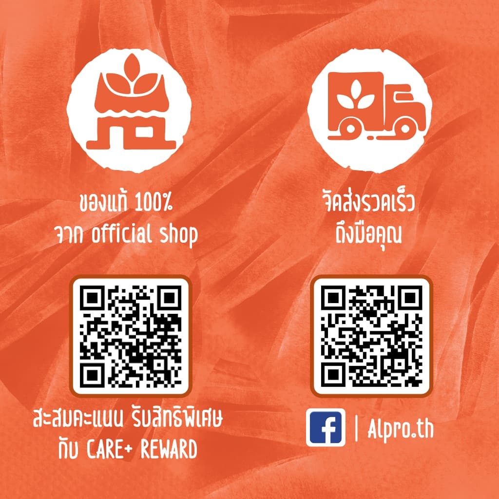 ยกลัง x2 นมโอ๊ต อัลโปร ยูเอชที รสจืด 180 มล. นมแพลนต์เบส นมข้าวโอ๊ต นม UHT Alpro Oat Milk Unsweetened 180ml รูปที่ 6