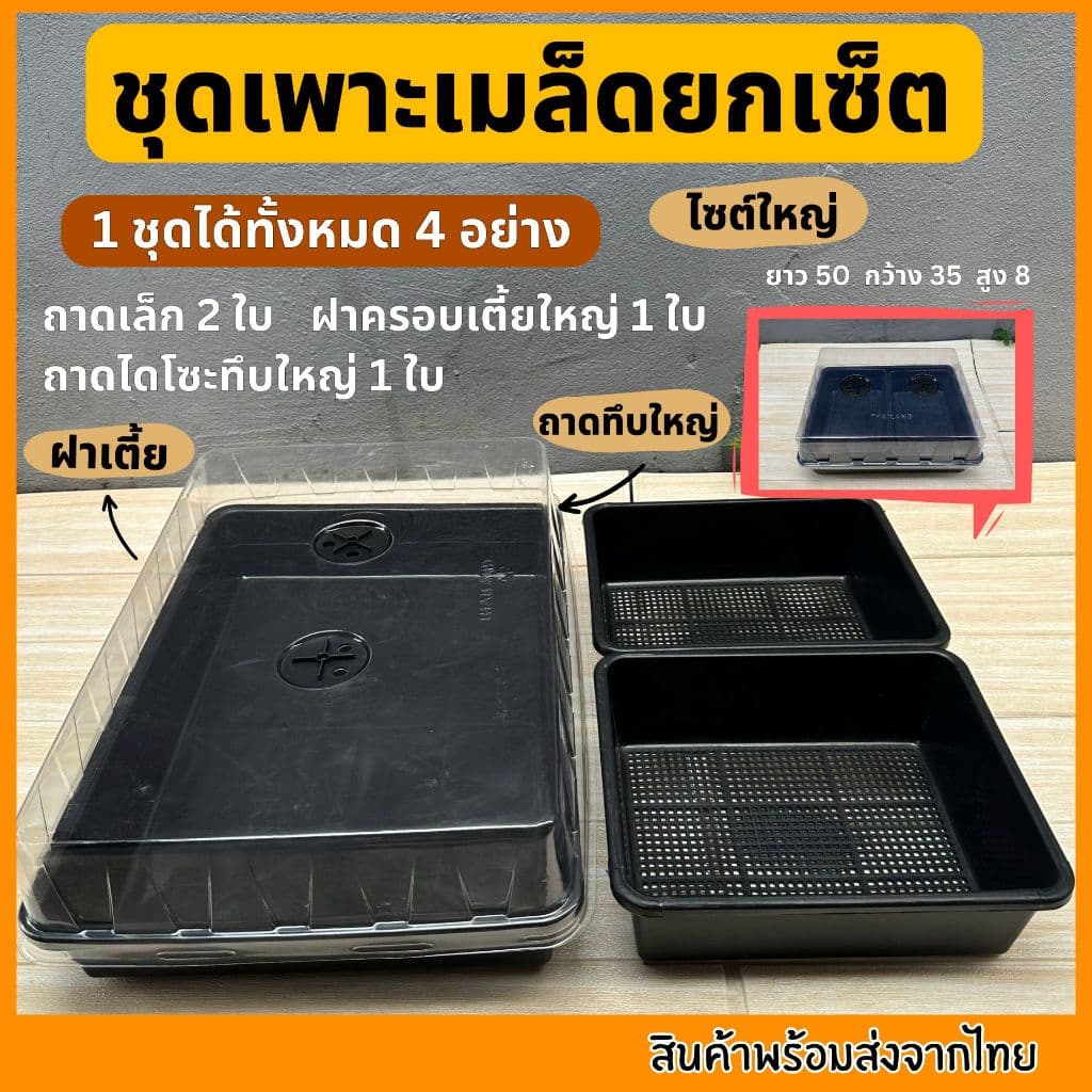 ชุดเพาะเมล็ด เซ็ตถาดไดโซะ ถาดทึบ ถาดรู ชุดเพาะชำ ฝาครอบ ถูกที่สุด รูปที่ 8