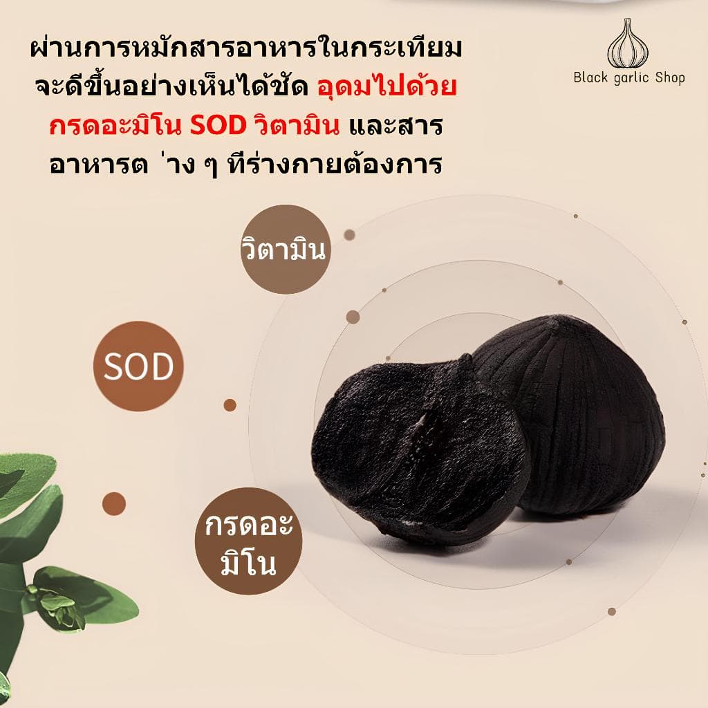 เป็นที่นิยมกระเทียมดำ ปอกหัวเดียว กระเทียมดำ ข้าวกระเทียมดำ กระเทียมดำ กระเทียมพร้อมรับประทาน 500gบาร์เรล รูปที่ 6