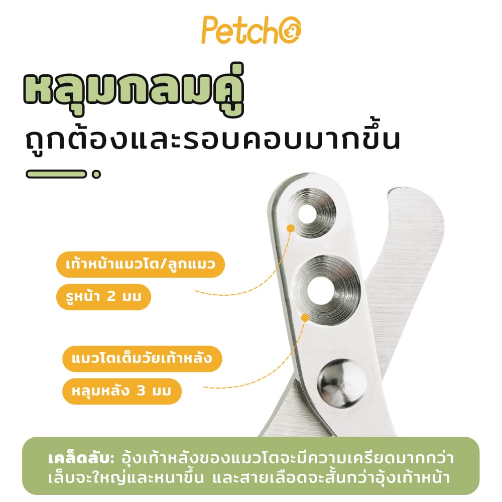 Petcho กรรไกรตัดเล็บแมว รรไกรตัดเล็บสัตว์เลี้ยง แบบมืออาชีพ การออกแบบรูคู่ ป้องกันการตัดไปที่เส้นเลือดของแมว รูปที่ 2