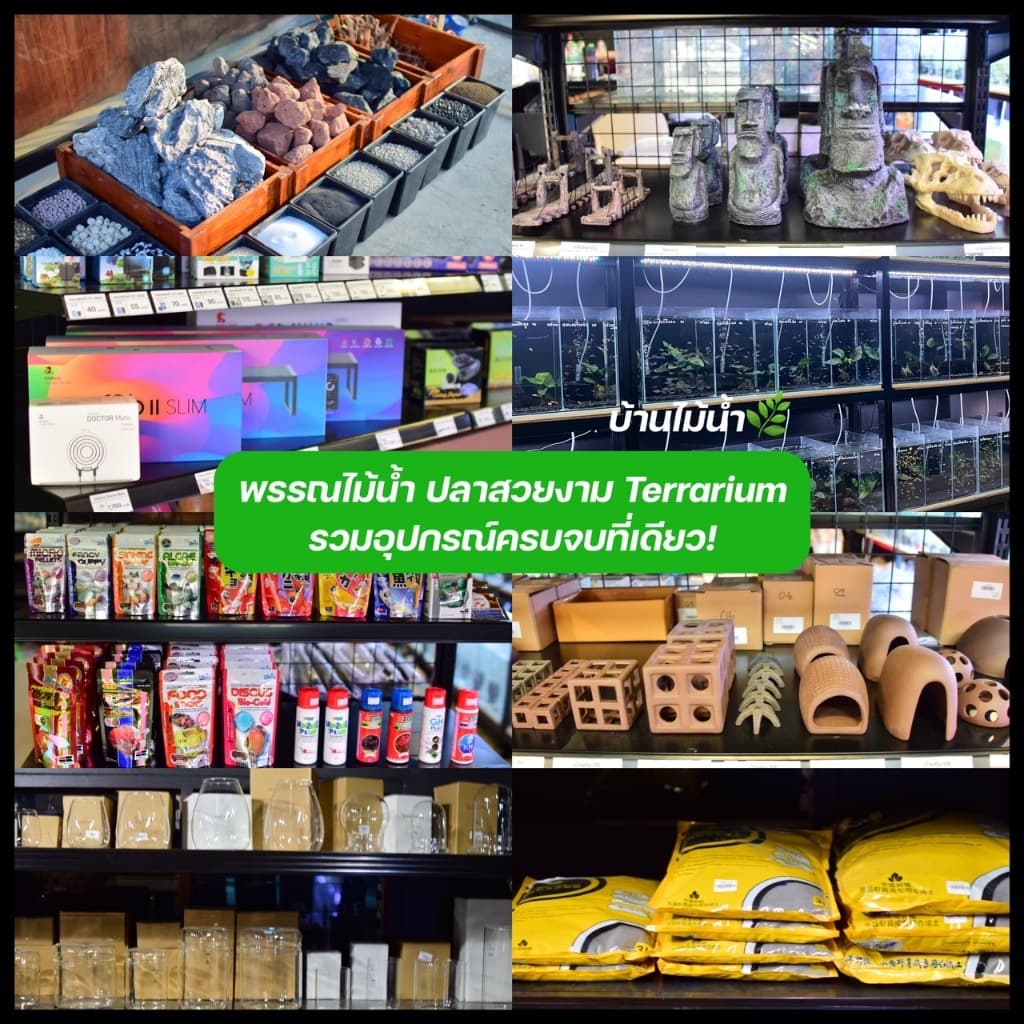 สาย CO2 4/6mm สายคาร์บอนไดออกไซด์ ตู้ไม้น้ำ ถังคาร์บอนไดออกไซด์ ถังCO2 สายPU TPU สายยาง | บ้านไม้น้ำ รูปที่ 8