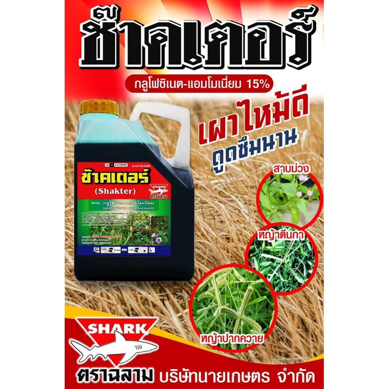 ช๊าคเตอร์ #กลูโฟซิเนต ขนาด 4 ลิตร*** 6 แกลลอน/ 1ลัง***เผาไหม้กึ่งดูดซึม กำจัดวัชพืช รูปที่ 8