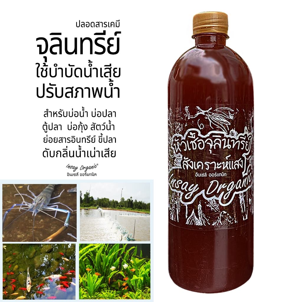 INSAY ORGANIC จุลินทรีย์ ใช้บำบัดน้ำ ดับกลิ่น ปรับสภาพน้ำ ย่อยสลาย สำหรับเลี้ยงปลา กุ้ง รูปที่ 1