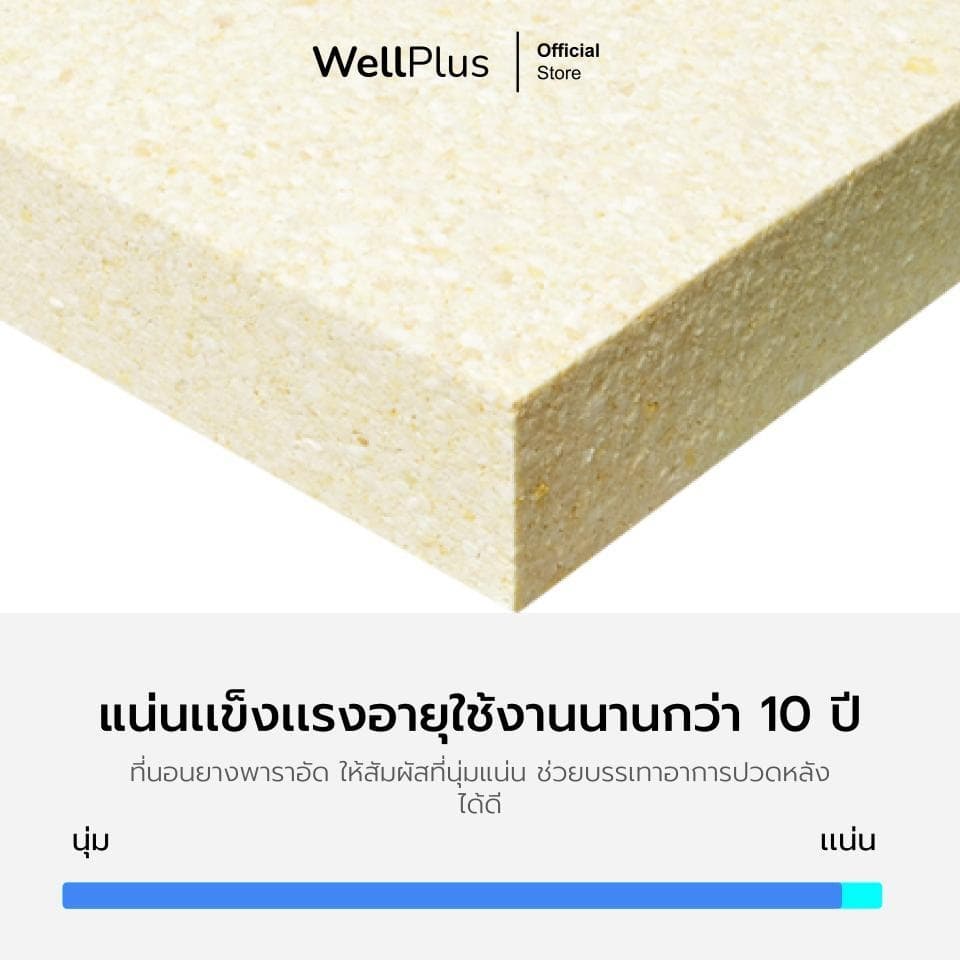 WellPlus ที่นอนยางพาราแท้ สัมผัสแน่นแข็ง รุ่น Pollux รองรับสรีระได้ดี ลดสาเหตุของการปวดหลัง ขนาด 3 3.5 ฟุต 5 ฟุต 6 ฟุต รูปที่ 3
