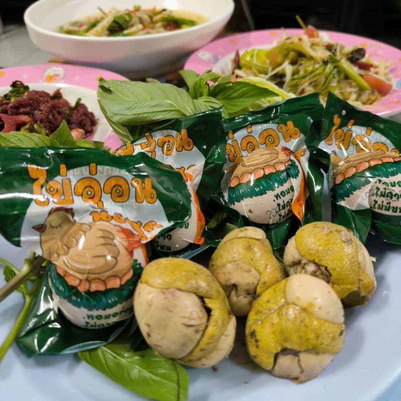 ไข่ลูกระยะ 2 เจ้าดังในติ๊กต๊อกไข่ลูกไก่ทีคนชอบกินเยอะที่สุดไข่อร่อยที่สุดไข่ตัวไข่ลูกเป็ดไข่ลูกไข่ลูกไก่สุกไข่ลูกเป็ดสุก รูปที่ 2