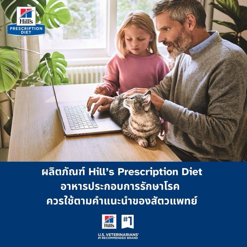 ) Hill z/d small bites dog 3.17 kg ภาวะภูมิแพ้ผิวหนังจากอาหาร และภาวะภูมิแพ้อาหาร รูปที่ 5