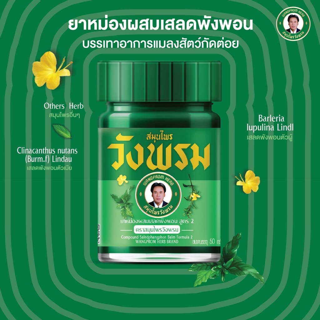 Wangpromherb สมุนไพรวังพรม ยาหม่องผสมเสลดพังพอน สูตร2 ขนาด 20 กรัม รูปที่ 3