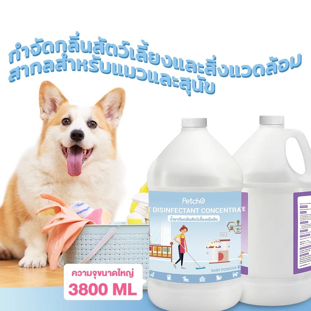 PetStern x Petcho น้ำยาฆ่าเชื้อสัตว์เลี้ยงแบบเข้มข้น น้ำยา ขจัดกลื่น สัตว์เลี้ยง 1000/3800ml รูปที่ 3